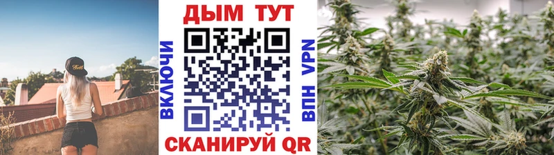 Конопля семена  Мамоново 